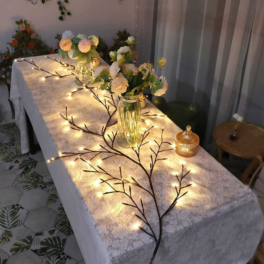 Lumière Vigne Saule