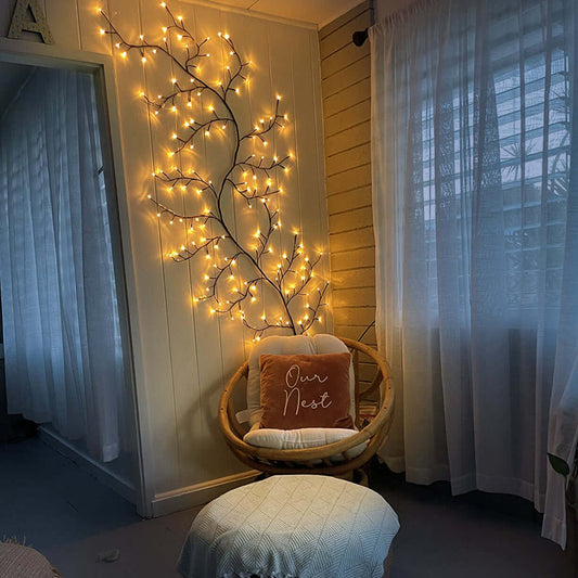 Lumière Vigne Saule